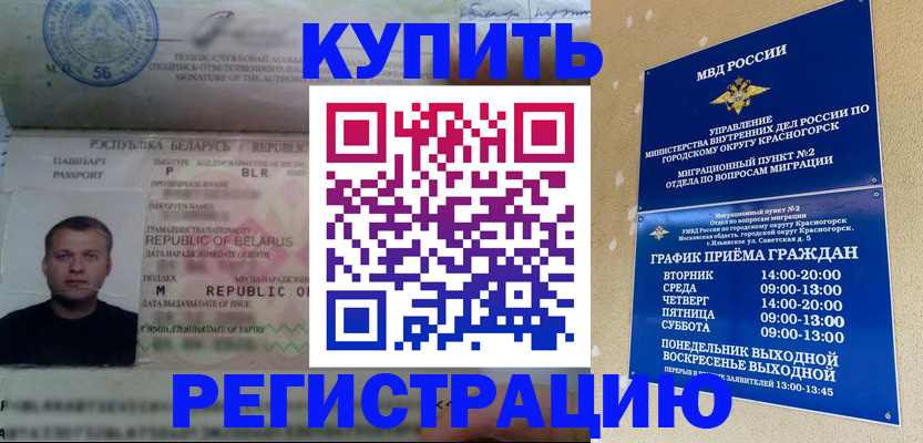 прописка законно в Звенигово